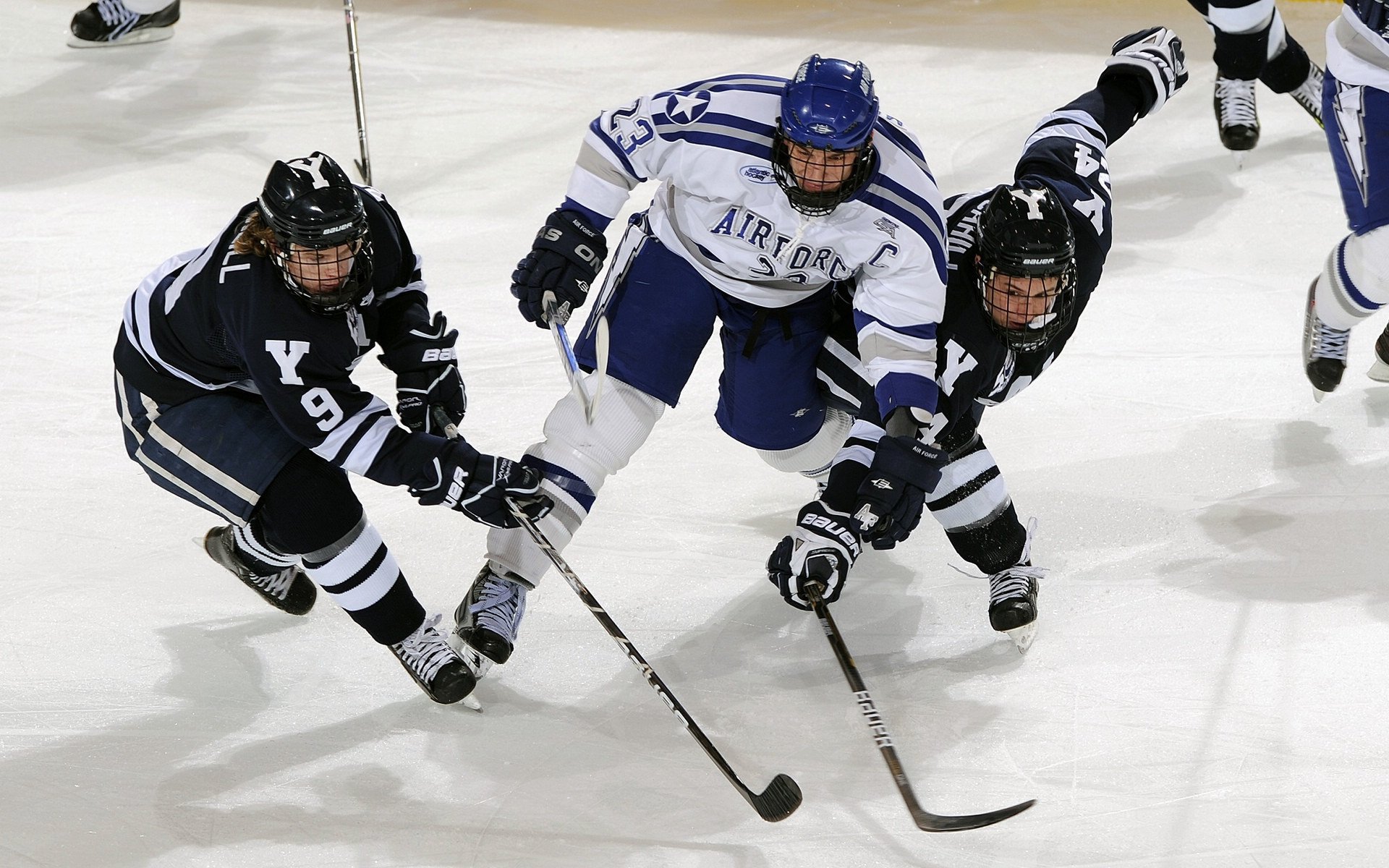 开云官方平台-卡瓦哈尔，一簇冰与火之间点燃宿命的白色火焰